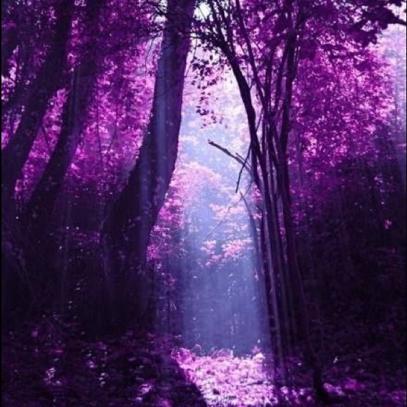 Meet your Posher, Shelley - Picture 7 of 7